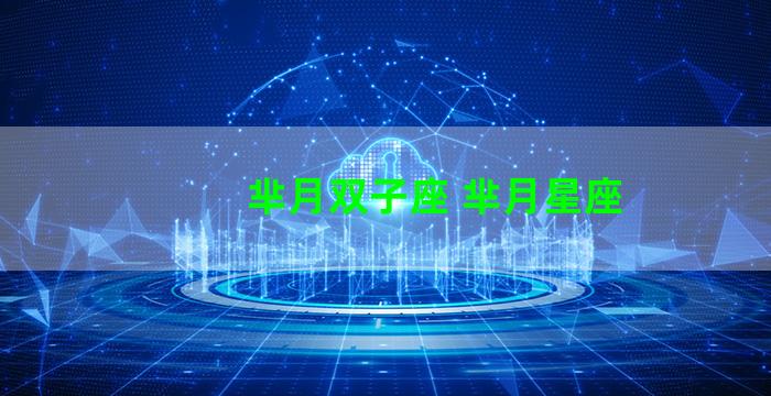 芈月双子座 芈月星座